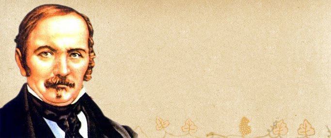 Media picture: Doutrina e Atividades Públicas